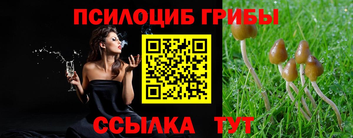 Псилоцибиновые грибы MAGIC MUSHROOMS  Галлюциногенные грибы прущие грибы  Черкесск  где купить   Вход с VPN 